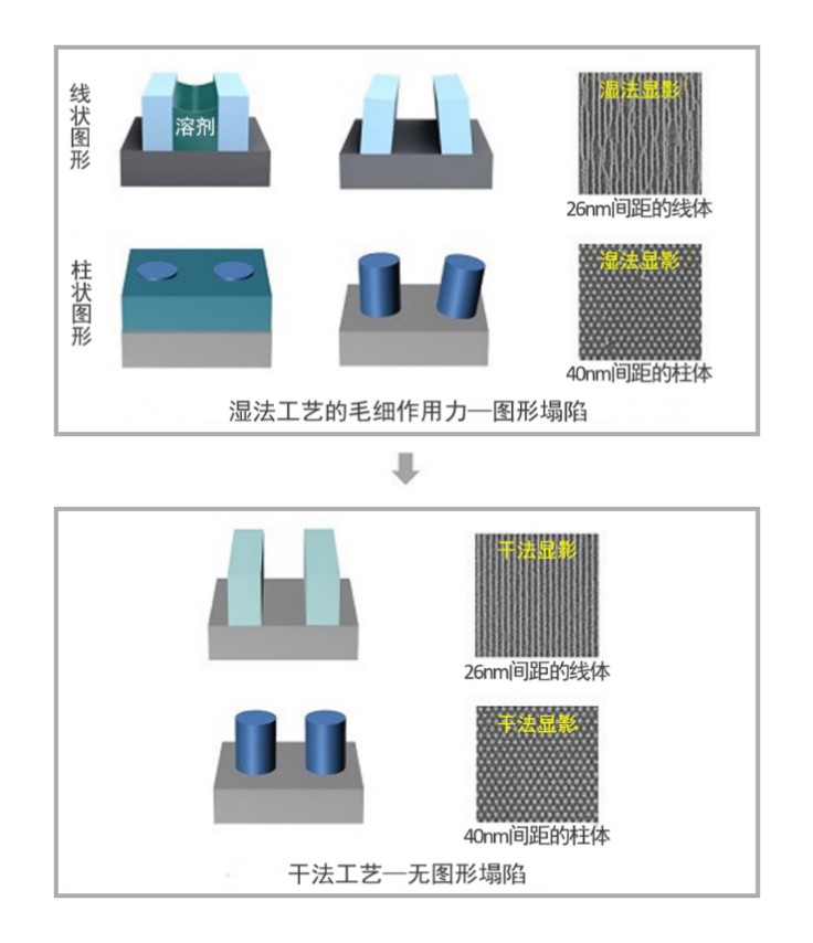 泛林003.jpg