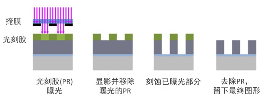 泛林001.jpg
