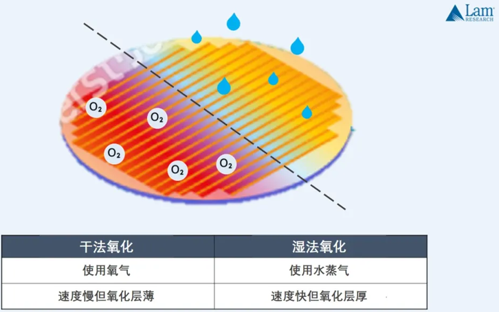 图003.png